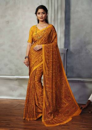 Fancy Saree Collection