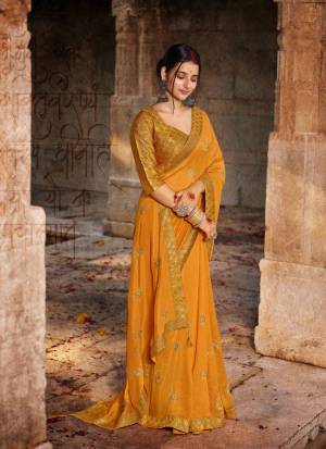 Designer Saree Collection