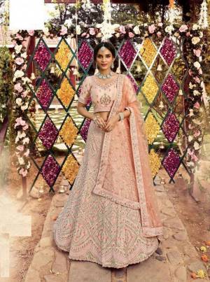 Beautifull Designer Lehenga Choli For Upcoming Wedding Seoson
