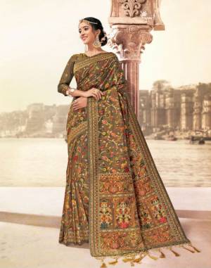 Fancy Saree Collection