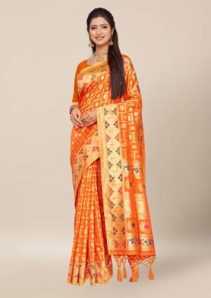 Fancy Saree Collection