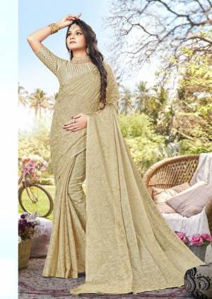 Beautifull Chiffon Saree Collection