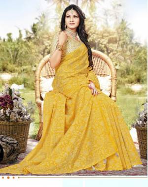 Beautifull Chiffon Saree Collection