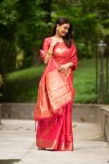 Soft Banarasi Silk  Saree Collection