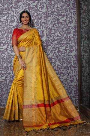 Beautiful Casual Wear Saree Is Here