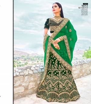 Add This New Color In Lehenga Choli To Your Wardrobe With This Heavy Designer Lehenga Choli In Pine Green Color Paired With Green Colored Dupatta. Its Blouse And Lehenga Are Fabricated On Velvet Paired With Net Fabricated Dupatta. It Is Beautified With Heavy Embroidery All Over It. Buy It Now.