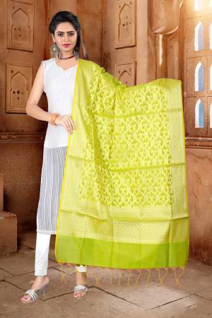 Such a Lovely Light Green Shade Is Here With This Lovely Silk Dupatta. This Pretty Dupatta Is Fabricated On Banarasi Art Silk Beautified With Weave. 