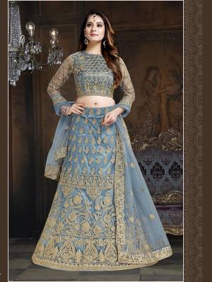 Here Is A Very Designer Lehenga Choli To Add Into Your Wardrobe For The Upcoming Wedding Season In Grey. Its Pretty Blouse And Lehenga Are Fabricated On Net With Satin Inner Paired With Net Fabricated Dupatta. Its Pretty Color And Heavy Embroidery Will Definitely Earn You Lots Of Compliments From Onlookers. 