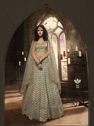 Flaunt Your Rich And Elegant Taste Wearing This Designer Lehenga Choli In Grey Color. This Heavy Embroidered Lehenga Choli Is Fabricated On Net Paired With Net Fabricated Dupatta. It Is Beautified With Heavy Embroidery Over The Blouse, Lehenga And Dupatta. Buy This Pretty Lehenga Choli Now.
