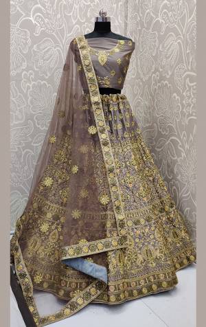 Get Ready For The Upcoming Wedding Season With This Very Pretty Heavy Embroidered Designer Lehenga Choli In Grey Color. This Beautiful Lehenga Choli Is Fabricated On Satin Silk Paired With Net Fabricated Dupatta. Buy Now. 