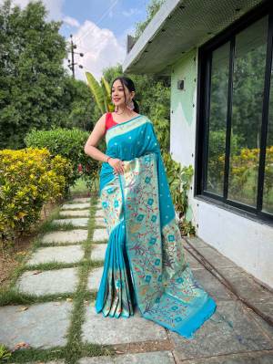 Shine Bright In This Beautiful Designer Readymade  saree 