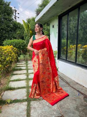 Shine Bright In This Beautiful Designer Readymade  saree 