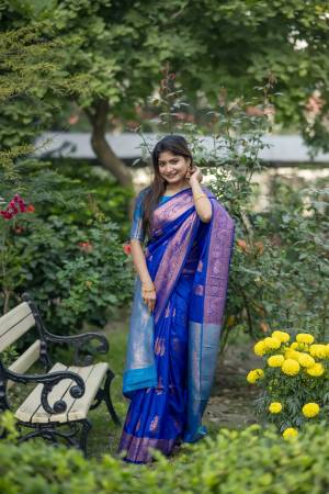 Shine Bright In This Beautiful Designer Readymade  saree 