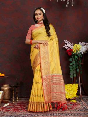 Look Pretty Wearing This Lovely Designer  Saree