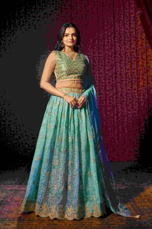 Shine Bright In This Beautiful Designer Lehenga