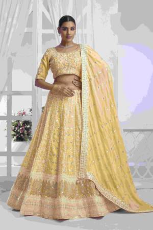 Shine Bright In This Beautiful Designer Lehenga