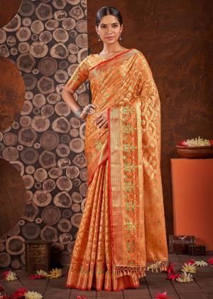 Look Pretty Wearing This Lovely Designer Saree