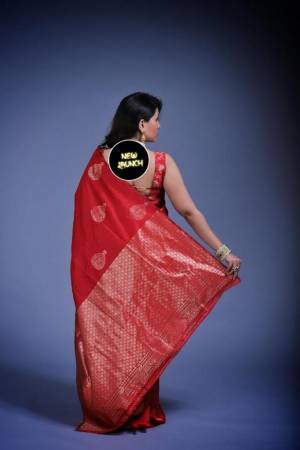 Look Pretty Wearing This Lovely Designer  Saree